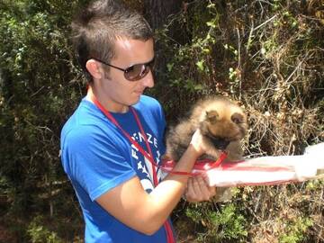 Public Photo of piske84